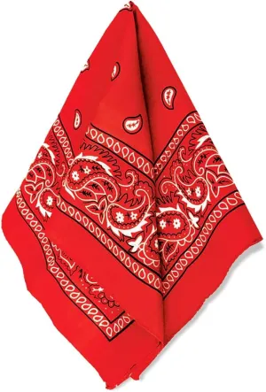 Amscan womens Paisley Bandana