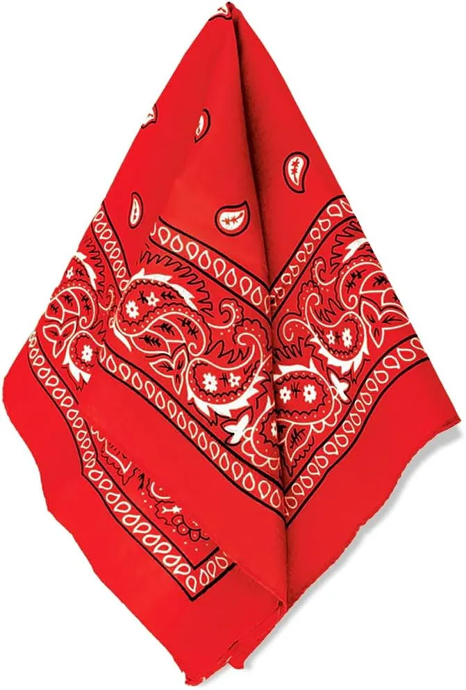 Amscan womens Paisley Bandana